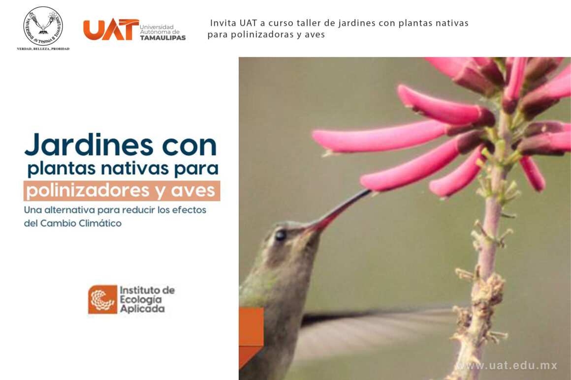 1-copia-2 Enseñará la UAT a crear espacios ecológicos para especies polinizadoras