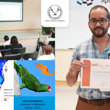 Colabora la UAT en estrategias de conservación del loro tamaulipeco