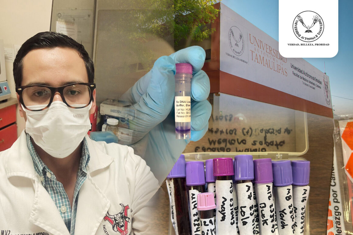 1 Estudia la UAT al parásito que causa babesiosis en perros y su posible contagio a humanos