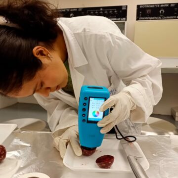 2 (7) Analizan potencial antioxidante de la cáscara de pitaya