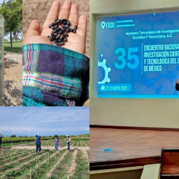 1 (8) (3) (1) Elabora estudiante de la UAT bioherbicida para cultivos de frijol