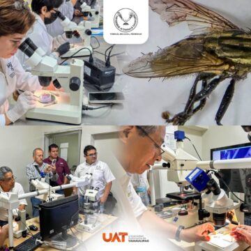 WhatsApp Image 2025-09-15 at 1.25.02 PM Colabora la UAT en medidas preventivas contra el gusano barrenador